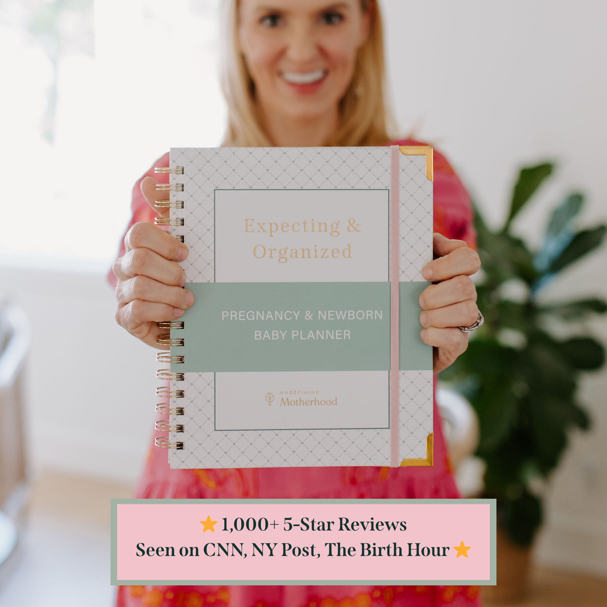 Bloom Daily Planners New Pregnancy & Baby'S First Year Planner Sticker - View #9
