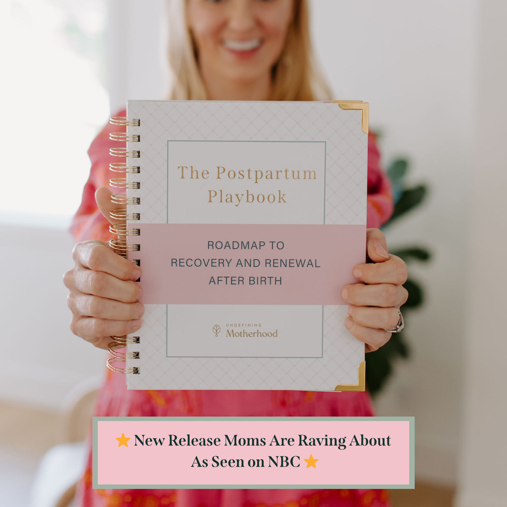 The Postpartum Playbook: Roadmap to Recovery & Renewal After Birth ...