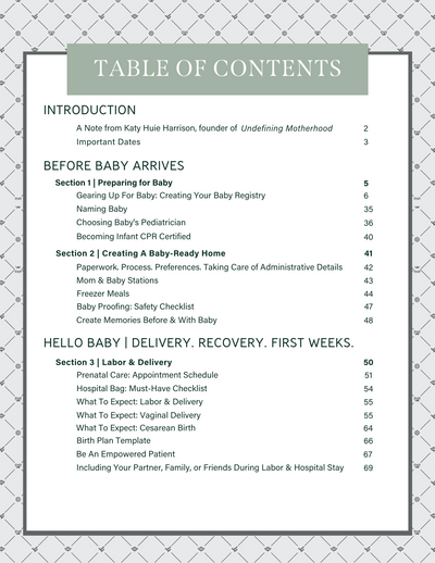 Expecting and Organized: Pregnancy & New Baby E-Planner (Download)