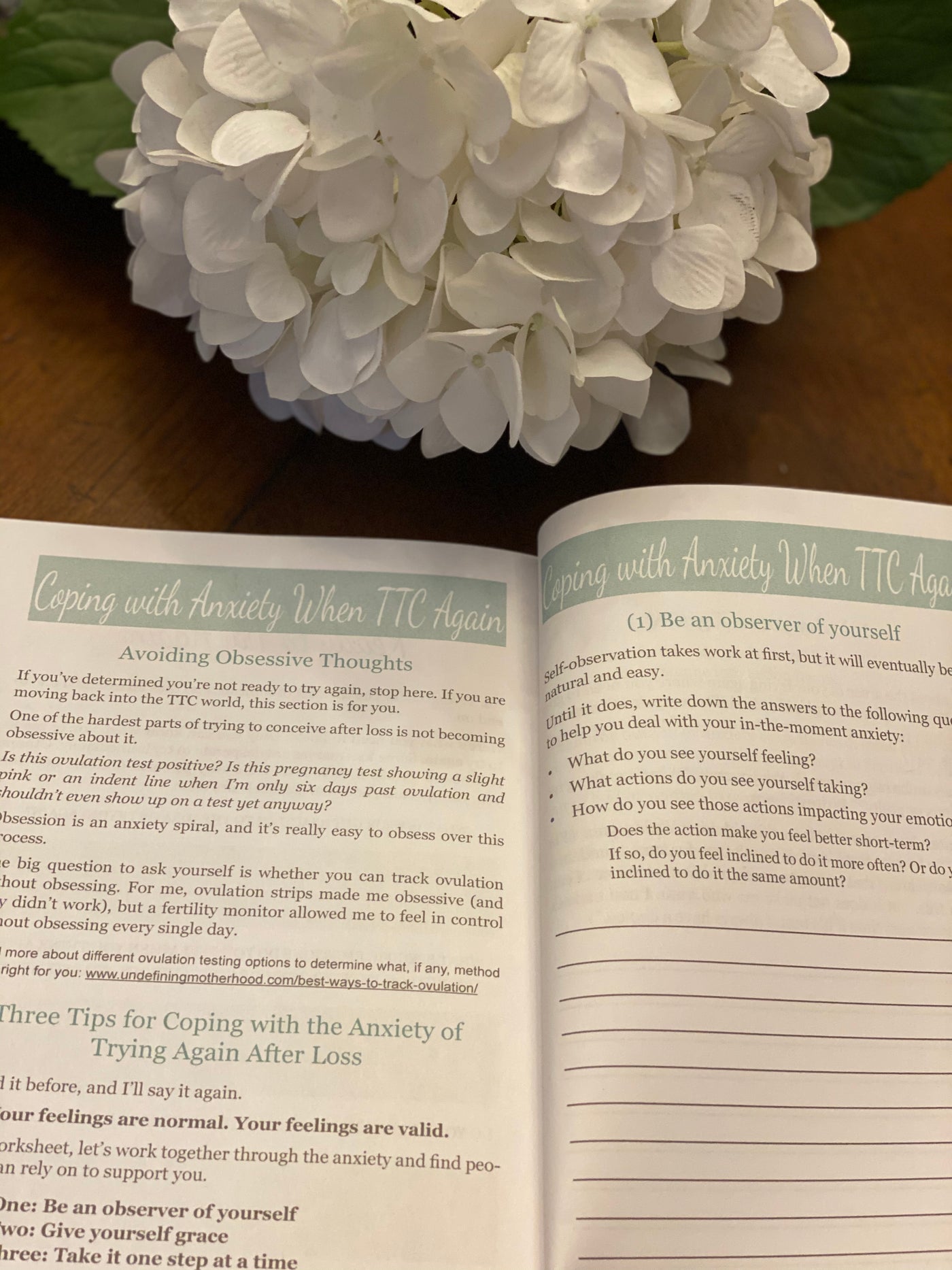 Mourning Retreat: A Journal for the Sisterhood of Pregnancy Loss (Print)